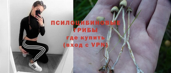 твердый Ельня