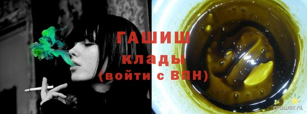 твердый Ельня