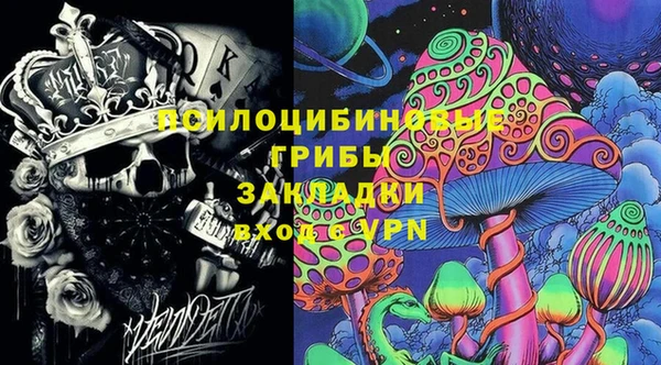 дурь Елизово