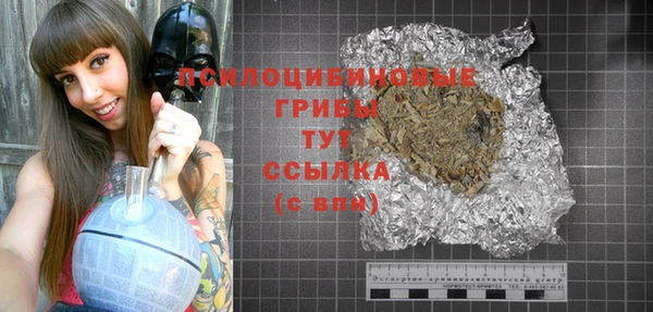 твердый Ельня