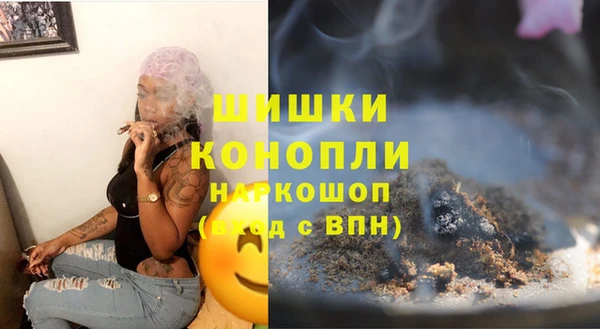 твердый Ельня