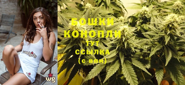 твердый Ельня