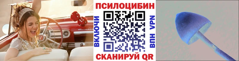 Галлюциногенные грибы мухоморы  купить  цена  ОМГ ОМГ   Зверево 